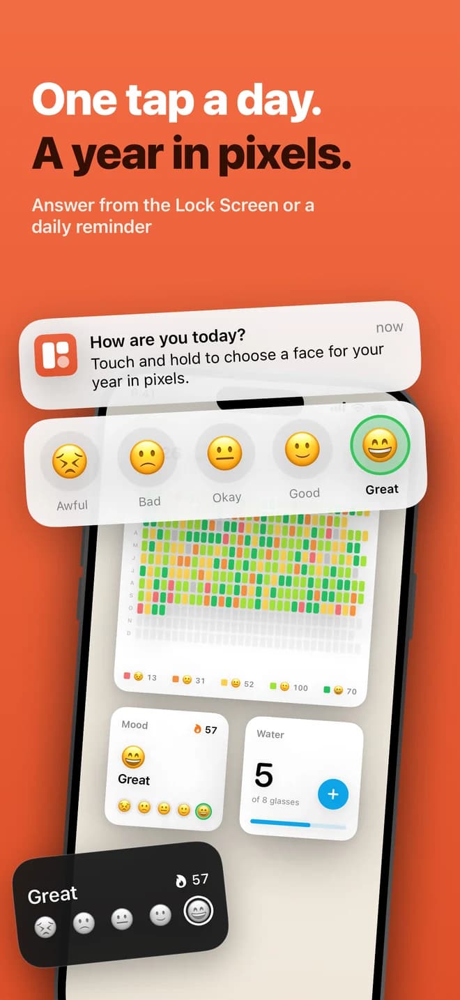 The daily mood reminder and the year in pixels